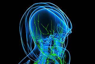 Lymphoseek: A New "Gold Standard" for Identifying Positive Lymph Nodes? Lymphoseek: A New "Gold Standard" for Identifying Positive Lymph Nodes?