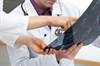Reflecting on Treatment Strategies for Acute Leukemia Reflecting on Treatment Strategies for Acute Leukemia