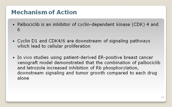 2019 year - Palbociclib Reviews 2019 year