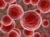 Pembrolizumab Is Promising for Future Merkel Cell Cancer Treatment Pembrolizumab Is Promising for Future Merkel Cell Cancer Treatment