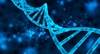 BRCA1, RAD51C Methylation Linked to Response to PARP Inhibitors BRCA1, RAD51C Methylation Linked to Response to PARP Inhibitors