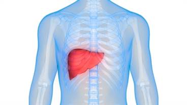 Immune-mediated Hepatitis: Challenges in Management Immune-mediated Hepatitis: Challenges in Management
