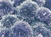 An Uncertain Future for Durvalumab in Lung Cancer Management An Uncertain Future for Durvalumab in Lung Cancer Management