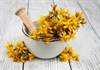 St John's Wort and Cancer St John's Wort and Cancer