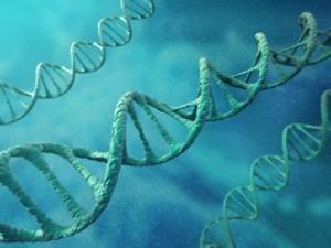 Genetic Signatures for Cancer are Making Headlines Genetic Signatures for Cancer are Making Headlines