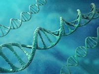Common Mutation Triggers ALL Relapse Common Mutation Triggers ALL Relapse