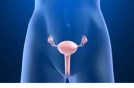 Nivolumab has demonstrated encouraging safety and clinical efficacy data in patients with platinum-resistant ovarian cancer. Nivolumab has demonstrated encouraging safety and clinical efficacy data in patients with platinum-resistant ovarian cancer.