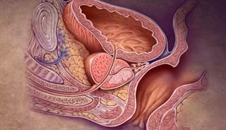 Metastatic Tumor Sites Predict OS in Castration Resistant Prostate Cancer Metastatic Tumor Sites Predict OS in Castration Resistant Prostate Cancer