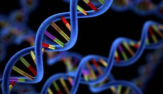 Paradigm Shift: There's More to Tumor Drug Resistance Than Just Gene Mutations Paradigm Shift: There's More to Tumor Drug Resistance Than Just Gene Mutations