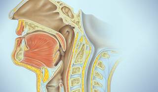 Oropharyngeal Cancer Incidence Is Increasing Oropharyngeal Cancer Incidence Is Increasing