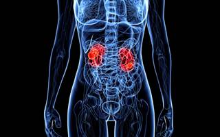 Tailored Therapies and Optimal Treatments for Patients with Renal Cell Carcinoma Tailored Therapies and Optimal Treatments for Patients with Renal Cell Carcinoma