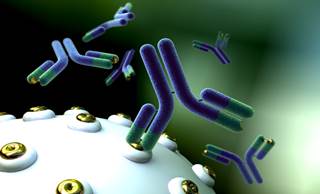 Making New Strides with Antibody Drug Conjugates Making New Strides with Antibody Drug Conjugates