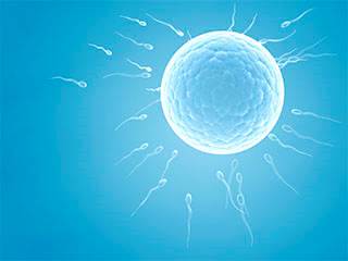 The COG guidelines focus on reproductive health for young cancer survivors The COG guidelines focus on reproductive health for young cancer survivors