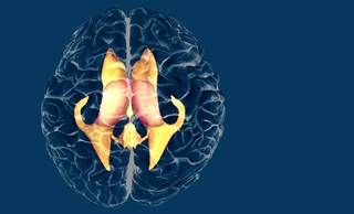 Overall, 54% of patients in the non-adjuvant temozolomide arm had disease progression vs 39% of the adjuvant temozolomide arm. Overall, 54% of patients in the non-adjuvant temozolomide arm had disease progression vs 39% of the adjuvant temozolomide arm.