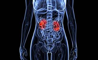 Inherited MET Oncogene Variant Prognostic for Survival, Time to Recurrence in Clear Cell RCC Inherited MET Oncogene Variant Prognostic for Survival, Time to Recurrence in Clear Cell RCC