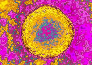Hepatitis C virus / Science Source Hepatitis C virus / Science Source