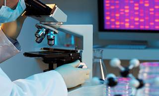 Assay May Prevent Unnecessary Repeat Prostate Biopsies Assay May Prevent Unnecessary Repeat Prostate Biopsies