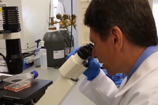 Researchers Identify Neo-Antigens as Potential Targets for Personalized Immunotherapy Researchers Identify Neo-Antigens as Potential Targets for Personalized Immunotherapy