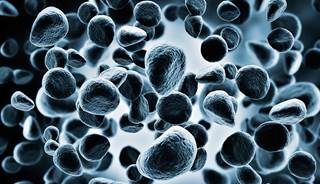 Chemotherapy-free treatment a possibility for leukemia/lymphoma Chemotherapy-free treatment a possibility for leukemia/lymphoma