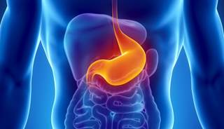 Gut microbiome may help lead to new diabetes treatments. Gut microbiome may help lead to new diabetes treatments.