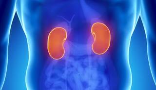 Angiotensin System Inhibitors Improve OS in mRCC Angiotensin System Inhibitors Improve OS in mRCC