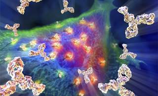 The Renaissance of Cancer Immunotherapy The Renaissance of Cancer Immunotherapy