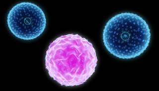 Researchers Discover New Approach To Treat Leukemia Researchers Discover New Approach To Treat Leukemia