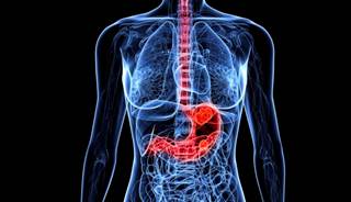 Apatinib Associated With Improved Survival in Advanced Gastric Cancer Apatinib Associated With Improved Survival in Advanced Gastric Cancer
