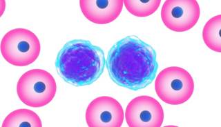 Alvocidib Receives Orphan Drug Designation for AML Alvocidib Receives Orphan Drug Designation for AML