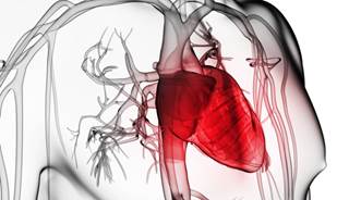 No Added Benefit from Screening for Coronary Artery Disease in Diabetes No Added Benefit from Screening for Coronary Artery Disease in Diabetes