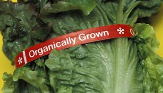 No Cancer Prevention Benefit From Organic Food No Cancer Prevention Benefit From Organic Food