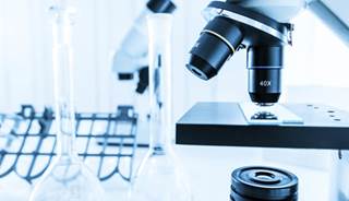 Study Pinpoints Novel Target for Chemo-Resistant Leukemia Cells Study Pinpoints Novel Target for Chemo-Resistant Leukemia Cells