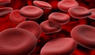 Prediagnostic Use of Warfarin Has No Effect on Cancer-Specific Mortality for Patients with Breast, C Prediagnostic Use of Warfarin Has No Effect on Cancer-Specific Mortality for Patients with Breast, C