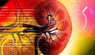 Autologous Immunotherapy for mRCC Shows Promise Autologous Immunotherapy for mRCC Shows Promise