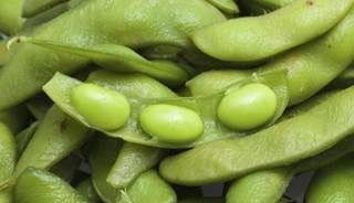 Soy Intake Not Linked to Endometrial Cancer Risk Soy Intake Not Linked to Endometrial Cancer Risk