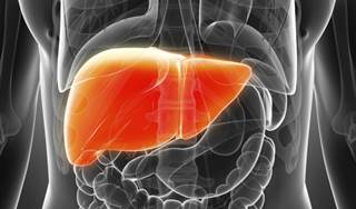 Safety and Efficacy Sorafenib Treatment for Hepatocellular Carcinoma Among Age Groups Safety and Efficacy Sorafenib Treatment for Hepatocellular Carcinoma Among Age Groups