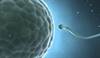 Studies Examine Effect of Age on Sperm Studies Examine Effect of Age on Sperm