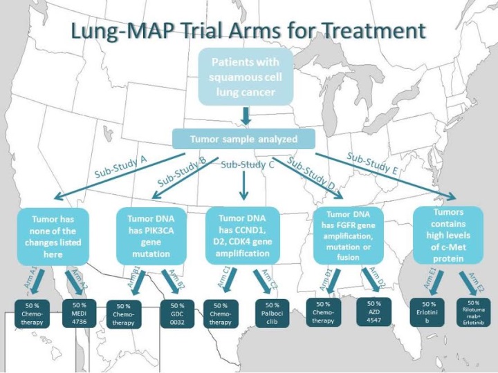 Collaborative Precision Medicine Lung Cancer Trials to Speed Drug