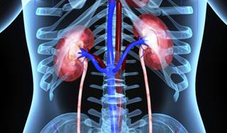 In Patients With Renal Cell Carcinoma Receiving Everolimus, Acute Kidney Injury is Common In Patients With Renal Cell Carcinoma Receiving Everolimus, Acute Kidney Injury is Common