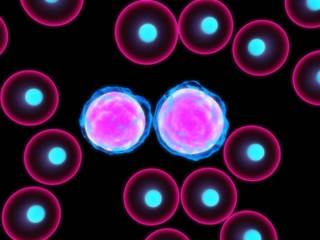 Multiple myeloma treated with SAR650984 in combination with lenalidomide/dexamethasone see clinical Multiple myeloma treated with SAR650984 in combination with lenalidomide/dexamethasone see clinical
