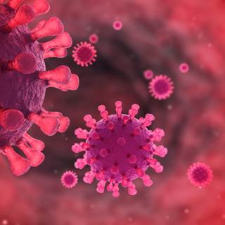 Pomalidomide is active and well tolerated in patients with symptomatic Kaposi sarcoma regardless of human immunodeficiency virus status. Pomalidomide is active and well tolerated in patients with symptomatic Kaposi sarcoma regardless of human immunodeficiency virus status.