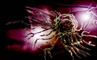 Presence of KIR genotype 2DL5B independently associated with poor response in CML. Presence of KIR genotype 2DL5B independently associated with poor response in CML.