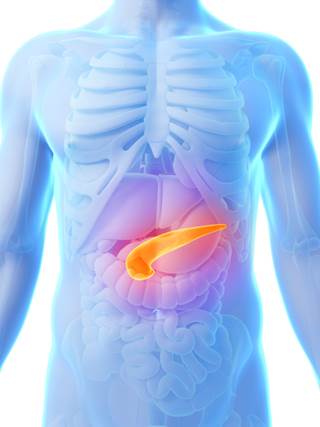 New advances regarding treatment options for metastatic pancreatic cancer. New advances regarding treatment options for metastatic pancreatic cancer.