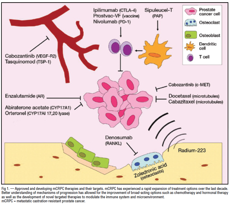 current-and-emerging-therapies-for-bone-metastatic-castration-resistant