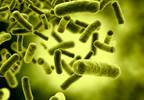 Clostridium Difficile Infection in Patients With Cancer — In the Clinic Clostridium Difficile Infection in Patients With Cancer — In the Clinic