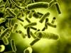 Clostridium Difficile Infection in Patients With Cancer — In the Clinic Clostridium Difficile Infection in Patients With Cancer — In the Clinic