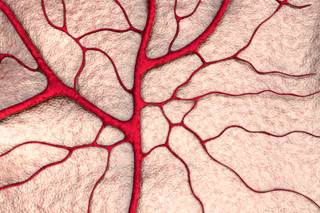 Among patients with active cancer, full-dose tinzaparin daily compared with warfarin did not significantly reduce the composite measure of recurrent VTE. Among patients with active cancer, full-dose tinzaparin daily compared with warfarin did not significantly reduce the composite measure of recurrent VTE.