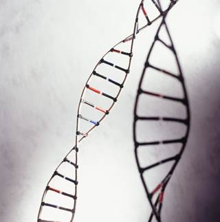For some pediatric cancer patients with relapsed or refractory cancer, extensive genetic analysis can open up new options. For some pediatric cancer patients with relapsed or refractory cancer, extensive genetic analysis can open up new options.