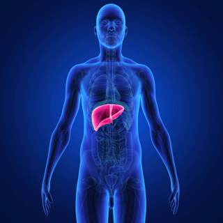 Both stereotactic body radiotherapy and radiofrequency ablation are effective local options for inoperable hepatocellular carcinoma. Both stereotactic body radiotherapy and radiofrequency ablation are effective local options for inoperable hepatocellular carcinoma.