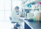 MicroRNA miR-371a-3p Levels a Promising Biomarker in Testicular Germ Cell Tumors MicroRNA miR-371a-3p Levels a Promising Biomarker in Testicular Germ Cell Tumors